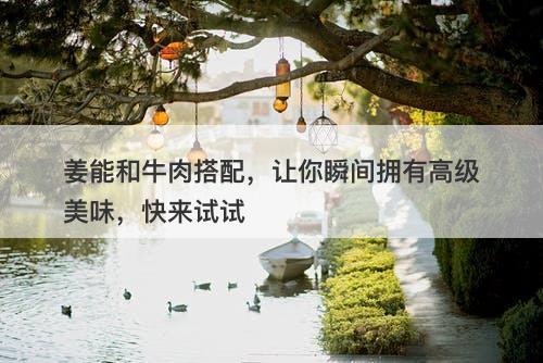 姜能和牛肉搭配，让你瞬间拥有高级美味，快来试试