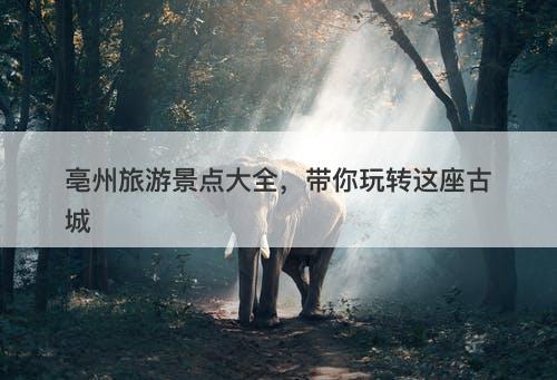 亳州旅游景点大全，带你玩转这座古城