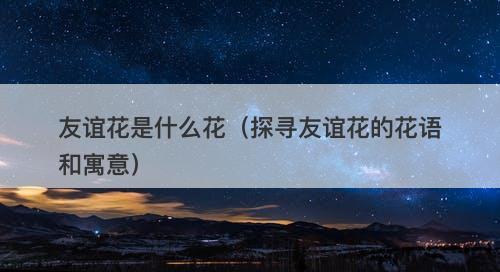 友谊花是什么花（探寻友谊花的花语和寓意）