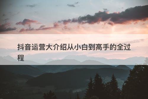 抖音运营大介绍从小白到高手的全过程