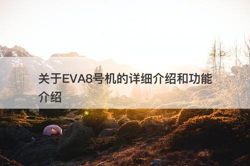关于EVA8号机的详细介绍和功能介绍