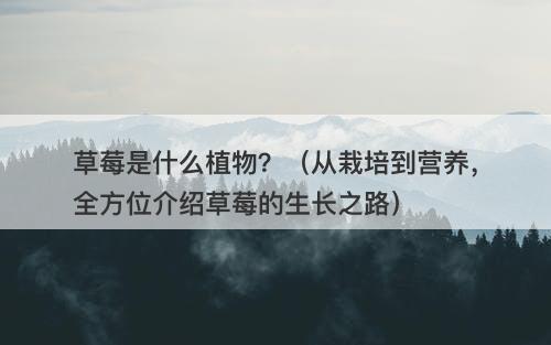 草莓是什么植物？（从栽培到营养，全方位介绍草莓的生长之路）