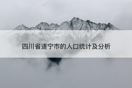 四川省遂宁市的人口统计及分析