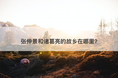 张仲景和诸葛亮的故乡在哪里？