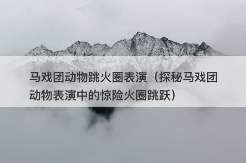 马戏团动物跳火圈表演（探秘马戏团动物表演中的惊险火圈跳跃）