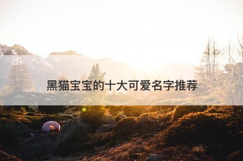 黑猫宝宝的十大可爱名字推荐