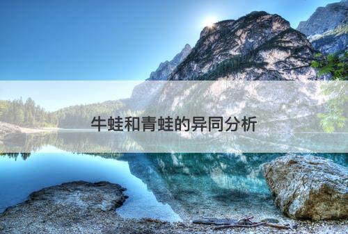 牛蛙和青蛙的异同分析