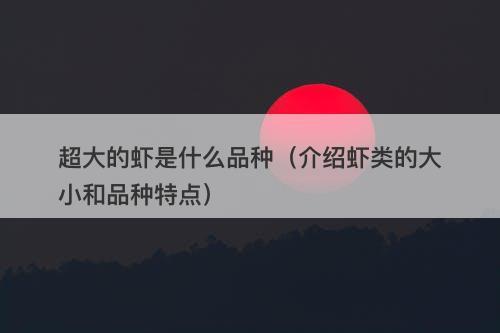 超大的虾是什么品种（介绍虾类的大小和品种特点）