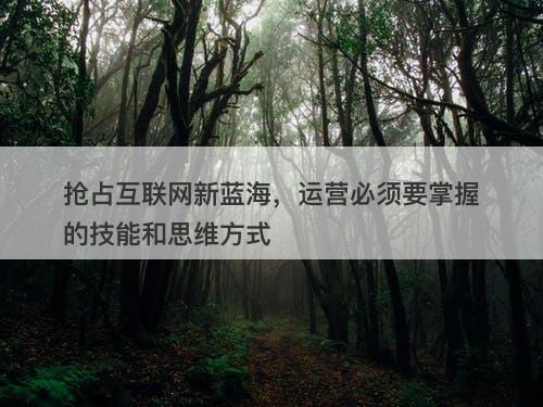 抢占互联网新蓝海，运营必须要掌握的技能和思维方式