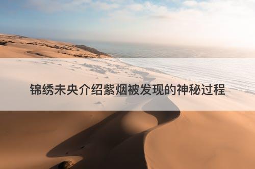 锦绣未央介绍紫烟被发现的神秘过程