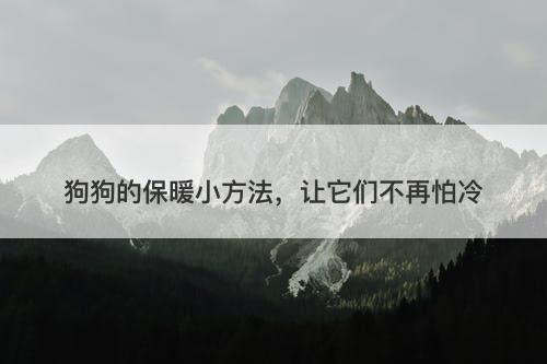 狗狗的保暖小方法，让它们不再怕冷