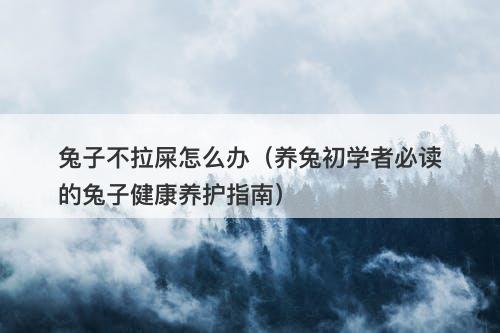 兔子不拉屎怎么办（养兔初学者必读的兔子健康养护指南）-图1