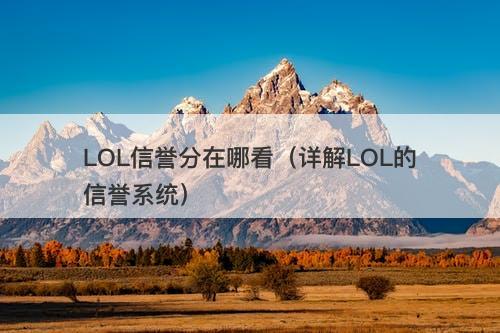 LOL信誉分在哪看（详解LOL的信誉系统）