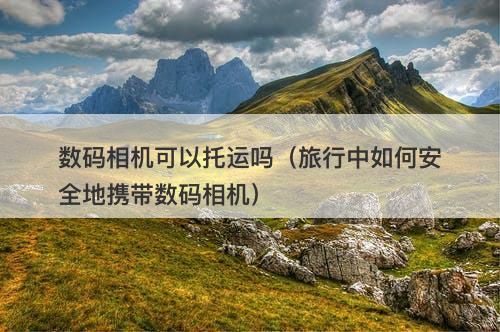 数码相机可以托运吗（旅行中如何安全地携带数码相机）