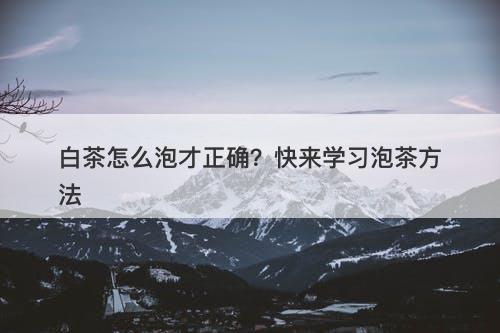 白茶怎么泡才正确？快来学习泡茶方法