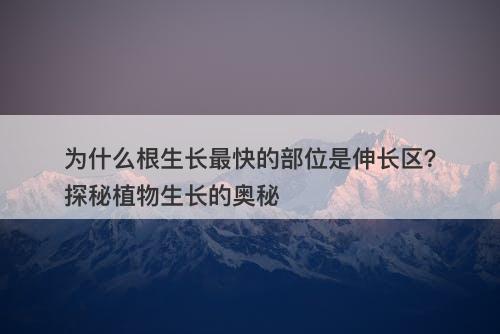 为什么根生长最快的部位是伸长区？探秘植物生长的奥秘