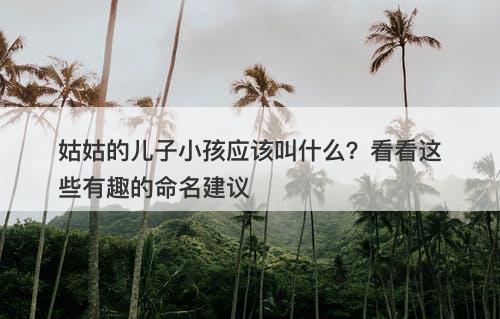 姑姑的儿子小孩应该叫什么？看看这些有趣的命名建议