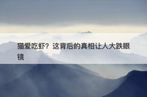 猫爱吃虾？这背后的真相让人大跌眼镜