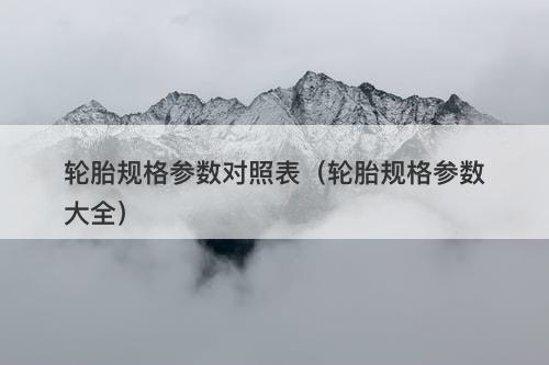 轮胎规格参数对照表（轮胎规格参数大全）