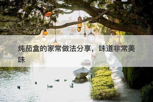 炖茄盒的家常做法分享，味道非常美味