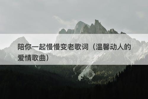 陪你一起慢慢变老歌词（温馨动人的爱情歌曲）