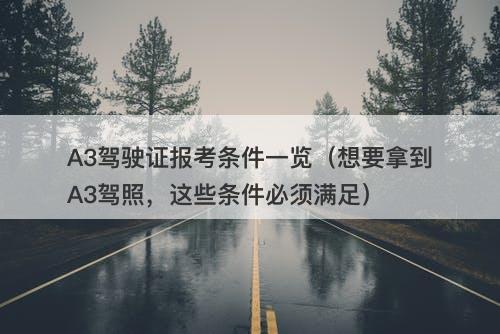 A3驾驶证报考条件一览（想要拿到A3驾照，这些条件必须满足）