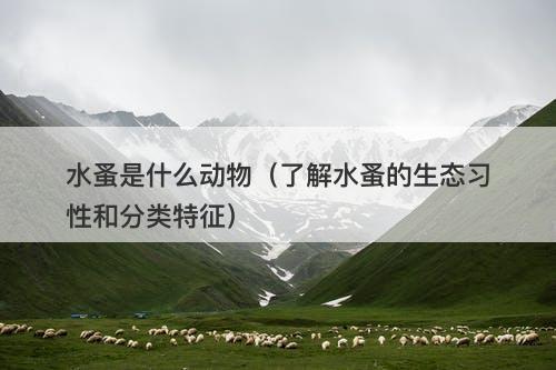 水蚤是什么动物（了解水蚤的生态习性和分类特征）