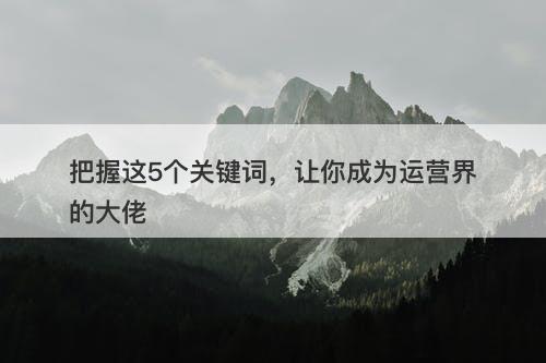 把握这5个关键词，让你成为运营界的大佬