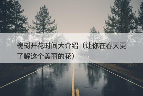 槐树开花时间大介绍（让你在春天更了解这个美丽的花）