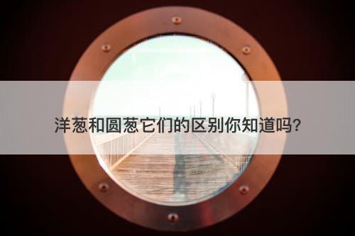 洋葱和圆葱它们的区别你知道吗？