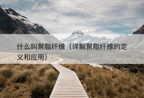 什么叫聚脂纤维（详解聚脂纤维的定义和应用）