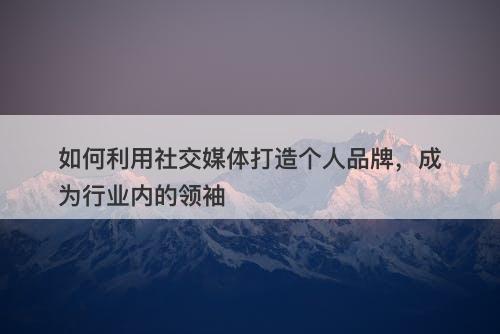 如何利用社交媒体打造个人品牌，成为行业内的领袖