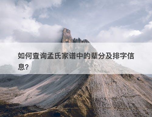 如何查询孟氏家谱中的辈分及排字信息？