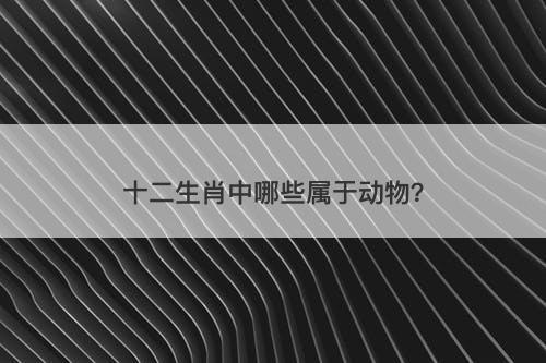 十二生肖中哪些属于动物？