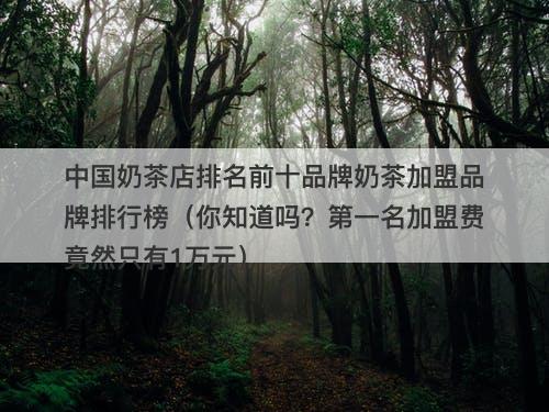 中国奶茶店排名前十品牌奶茶加盟品牌排行榜（你知道吗？第一名加盟费竟然只有1万元）