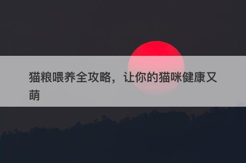 猫粮喂养全攻略，让你的猫咪健康又萌