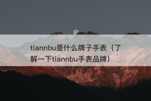 tiannbu是什么牌子手表（了解一下tiannbu手表品牌）