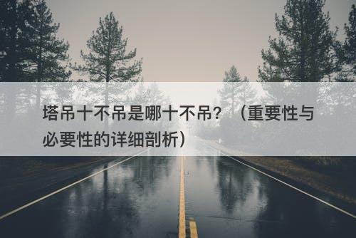塔吊十不吊是哪十不吊？（重要性与必要性的详细剖析）