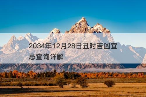 2034年12月28日丑时吉凶宜忌查询详解