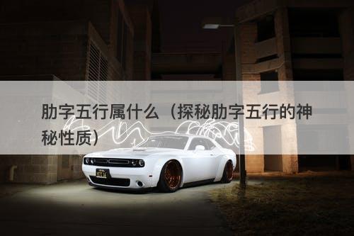 肋字五行属什么（探秘肋字五行的神秘性质）
