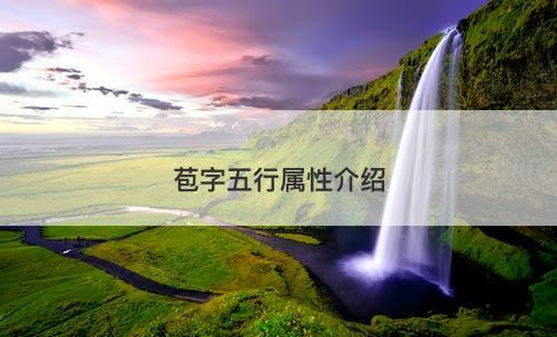 苞字五行属性介绍