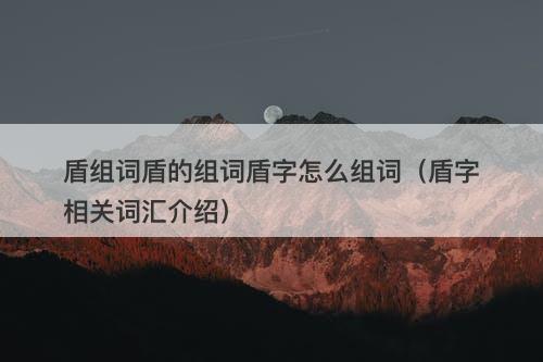 盾组词盾的组词盾字怎么组词（盾字相关词汇介绍）