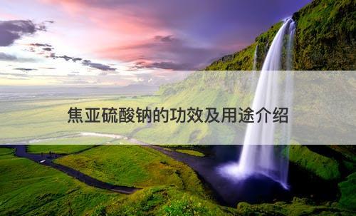 焦亚硫酸钠的功效及用途介绍