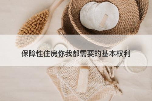 保障性住房你我都需要的基本权利