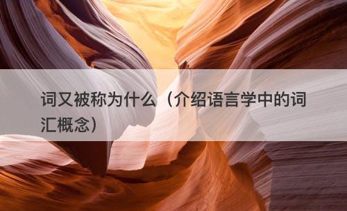 词又被称为什么（介绍语言学中的词汇概念）