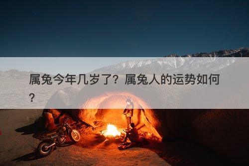 属兔今年几岁了？属兔人的运势如何？