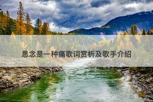 思念是一种痛歌词赏析及歌手介绍