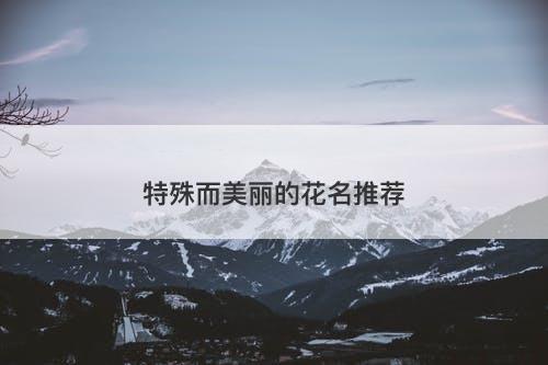 特殊而美丽的花名推荐