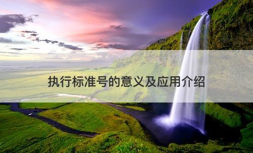 执行标准号的意义及应用介绍