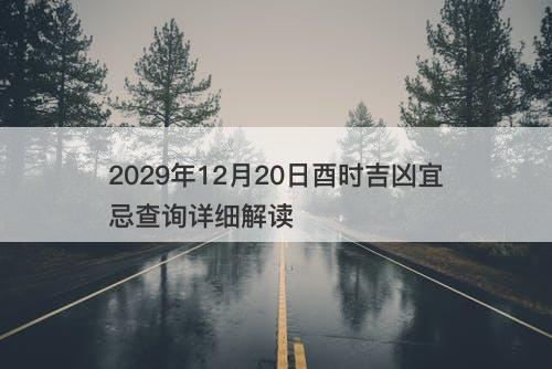 2029年12月20日酉时吉凶宜忌查询详细解读
